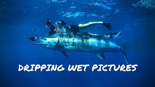 Spearfishing MARLIN amp BLUEFIN TUNA  Australia [upl. by Trojan]