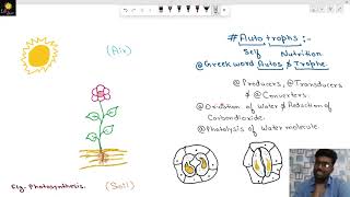 AUTOTROPHIC NUTRITION PHOTOSYNTHESIS FUNCTION AND OPENING AND CLOSING OF STOMATA STARCH TEST ETC [upl. by Eceirahs]