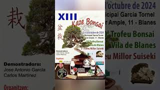 Bonsai y suiseki en Blanes [upl. by Arhaz]