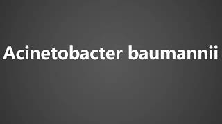 How To Pronounce Acinetobacter baumannii [upl. by Odnumyar]