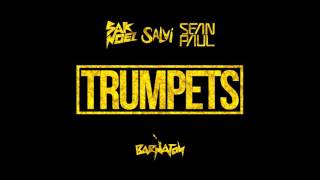 Sak Noel amp Salvi ft Sean Paul  Trumpets Official Audio [upl. by Coheman]