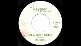 THE FIDELS  TRY A LITTLE HARDER KEYMAN [upl. by Sada]