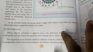 Electrophoresis and electro osmosis12th chemistrysurface chemistry in தமிழ் 🙂 [upl. by Alvie]