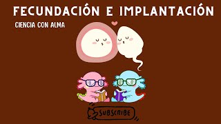 FECUNDACIÓN E IMPLANTACIÓN DEL EMBRIÓN HUMANO [upl. by Jonis]