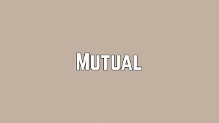 Shawn Mendes  Mutual Lyrics [upl. by Eitisahc]