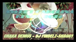 Sweet Caroline RemixChaka Demus  Freddie Mcgregor  Shaggy  Dj Findelz [upl. by Niro]