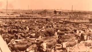 Fort Worth Stockyards  History [upl. by Emolas889]