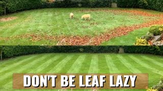 Winter LAWN MOWING tips  Protect your LAWN [upl. by Duffie]