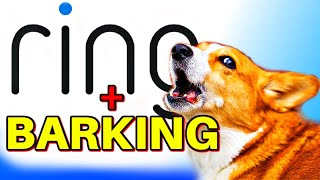 Ring Doorbell with dogs barking [upl. by Nitsruk]