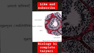 शुक्रजनक नलिका । seminiferous tubules । sertoli cell। leydig cell। spermatogonia । [upl. by Darby]