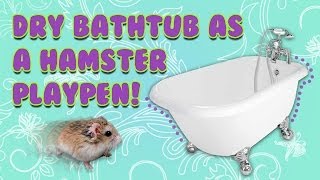 Bathtub As A HAMSTER PLAYPEN [upl. by Gunilla]