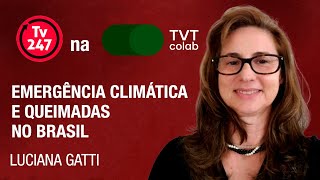 Emergência Climática e Queimadas no Brasil  Luciana Gatti no 247 na TVT [upl. by Anauqcaj263]