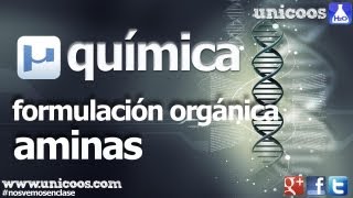 QUIMICA Organica AMINAS BACHILLERATO compuestos nitrogenados [upl. by Rosana50]