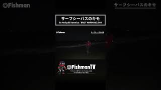 サーフシーバスのキモ Fishman シーバス ベイトロッド [upl. by Nnaes]