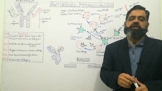 Immunity UrduHindi medium profmasoodfuzail Immunoglobulin  Types of Antibodies  Antibodies [upl. by Munro]