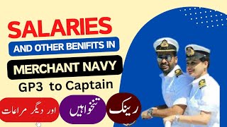 Merchant Navy Salaries EXPOSED Shocking Truth About Benefits [upl. by Ahseinat]