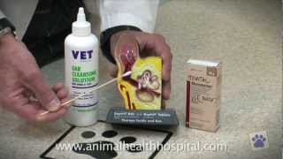 Animal Health Hospital How To Clean Your Pets Ears [upl. by Airlia]