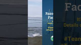 WDFW Razor Clam Faceoff 2024 [upl. by Clarhe]