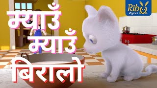 Miau Miau Biralo I म्याउँ म्याउँ बिरालो I Meow Meow Biralo I Nepali Kids Songs I Ribu Rhymes [upl. by Amalee673]