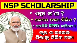 NSP Scholarship 202425 Apply  National Scholarship Portal 202425  NSP Scholarship Amount Details [upl. by Natye813]