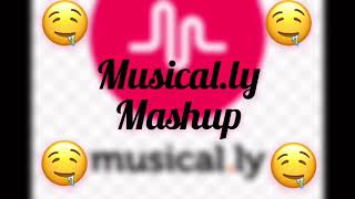 🤤Musically Mashup🤤 musically  T w x n k l e [upl. by Nnahtur638]