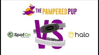 Halo Collar vs SpotOn Virtual Fence Which Is Best For Your Dog [upl. by Kathleen]