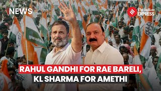 Amethi Raebareli Seat Congress Picks Rahul Gandhi For Raebareli Nominates KL Sharma For Amethi [upl. by Einwat144]