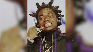 KODAK BLACK TYPE BEAT 2024 [upl. by Apfel]