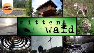 Bayerischer Wald  Urlaub in der Natur  Mitten im Wald [upl. by Yniffit471]