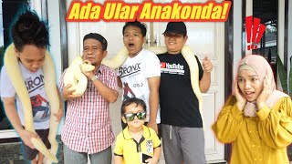 HAH ADA ULAR ANAKONDA DI RUMAH EYBEL  eybel channel [upl. by Zitah]