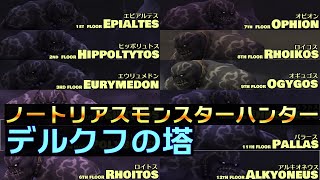 【FF11】ノートリアス・モンスターハンター27【デルクフの塔】パラース・アルキオネウスなど17匹のNMを全部倒してきました [upl. by Yrebmik]