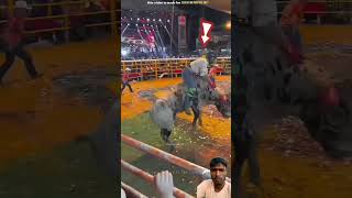 horse games world winner viralshorts trendingvideo viralvideo [upl. by Pizor]