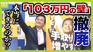 【103万円の壁】を改めて解説 『壁』を引き上げると多くの人の課税にも影響…国民民主党案の通りだと税収が約7兆6000億円減少する！？（2024年11月1日） [upl. by Ermengarde]