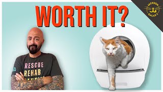 The Truth About Automatic Litter Boxes [upl. by Napoleon]