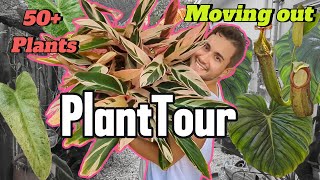 Final Florida HOUSEPLANT Tour 3 Month Update  Favorite Plants amp Surprise Guests [upl. by Gredel767]