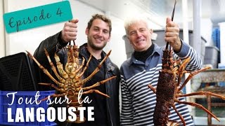 EP 4  Alexis à la coopérative des langoustes en Australie [upl. by Assirral]