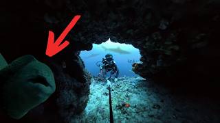 What’s LURKING In This Deep Dark Cave I Dropped A Baited GoPro To Find Out… [upl. by Askwith283]