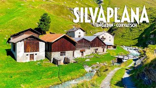 Silvaplana 4K  The Incredible Breathtaking Nature of Switzerland  Amazing Beautiful Nature Scenery [upl. by Kcirnek]