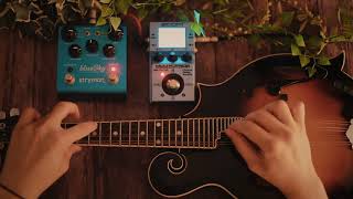 Ambient Jam with Mandolin blueSky and MS70CDR [upl. by Ivonne61]