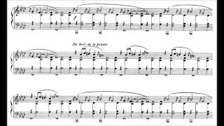 Erik Satie  Gnossienne n°1 Score [upl. by Ellemaj477]