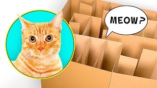 Un Labyrinthe En Carton Pour Chats Fait Maison [upl. by East]