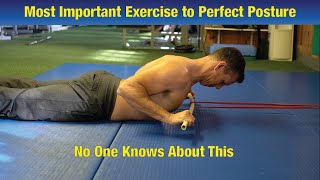 Do This weekly for PERFECT POSTURE  An Exercise No One Knows About [upl. by Eiroj]