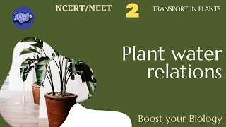 PLANT WATER RELATIONS  TRANSPORT IN PLANTSBIOLOGY NEET MALAYALAM [upl. by Assilaj]