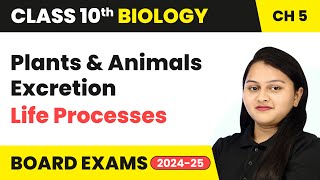 Plants and Animals Excretion  Life Processes  Class 10 Biology Chapter 5  CBSE 202425 [upl. by Adidnac]