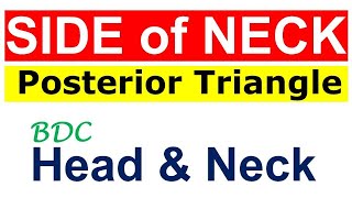 Chp3  Posterior Triangle of Neck  BDC Vol3  Head and Neck Anatomy  Dr Asif Lectures [upl. by Victoria784]