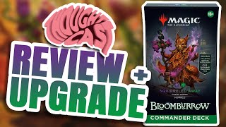 Squirreled Away Commander Review amp Upgrade  Bloomburrow  The MTG Thoughtcast [upl. by Nolita]