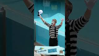 The Mime at SeaWorld Orlando [upl. by Hennebery]