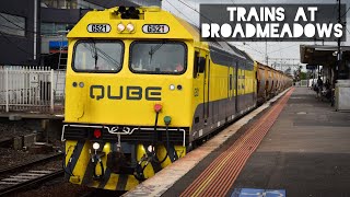 Trains at Broadmeadows  April 2022 [upl. by Gerfen266]