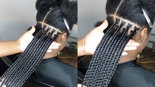 BRAIDS CLASS Get Perfect box braids size Parting size for spacing and Fullness  Gripping roots [upl. by Enel]