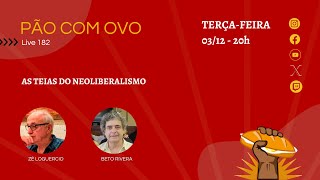 As teias do Neoliberalismo [upl. by Towrey]